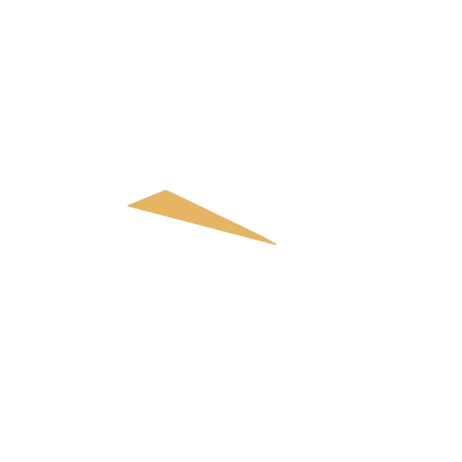 Project Story